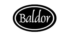 Baldor logo and illustration on a white background